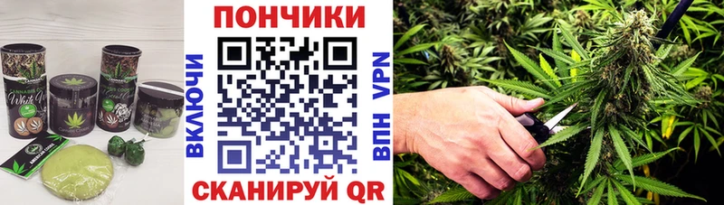 Canna-Cookies марихуана  Темников 