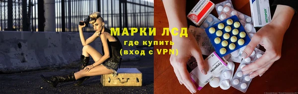 стафф Ростов