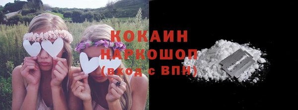 стафф Ростов