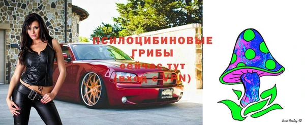 стафф Ростов
