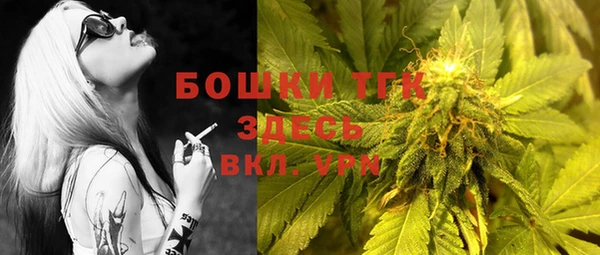 стафф Ростов