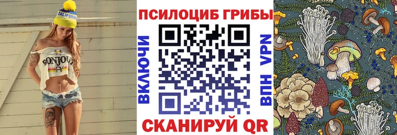 Псилоцибиновые грибы Cubensis  Темников 